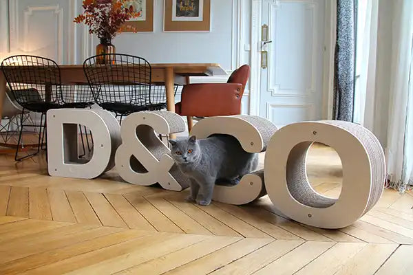 griffoir-chat-D&CO-deco-carton-bois-lettre-alphabet-homycat-design-france