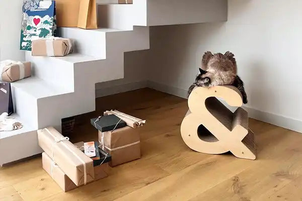 Cadeau de Noël pour chat : nos idées originales pour lui faire plaisir