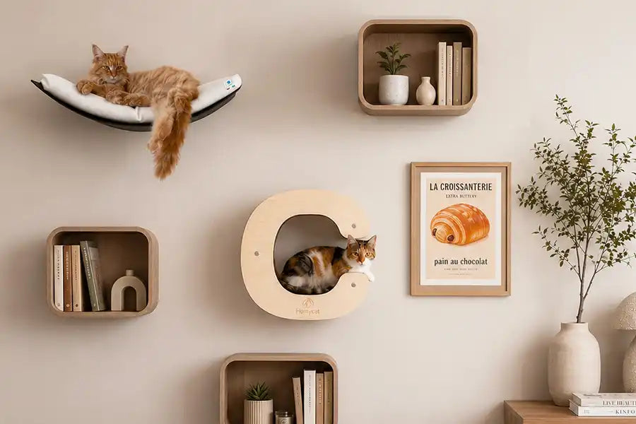 Top 5 parcours muraux design pour chats — idées & inspiration