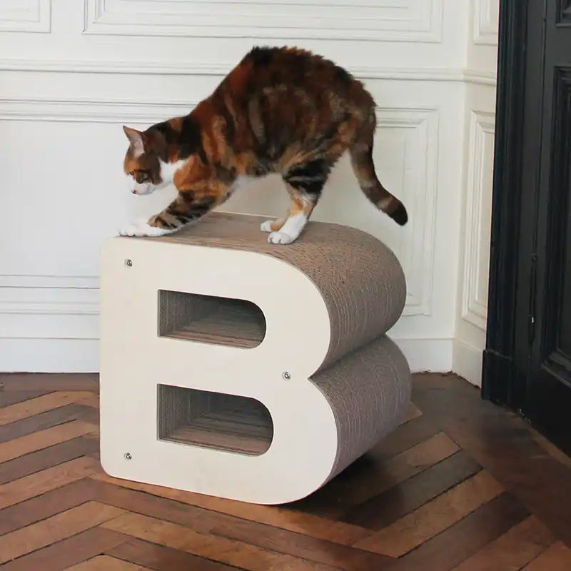 Griffoir Lettre B XL