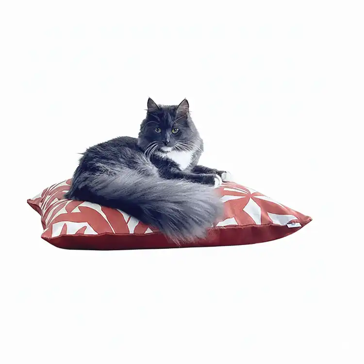 Couchages Chats Design - Coussins XL - Couleur au choix