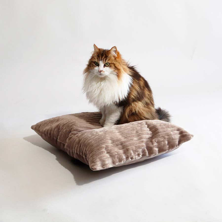 Coussins Design Chat - Velours Côtelé Taupe et Ecru