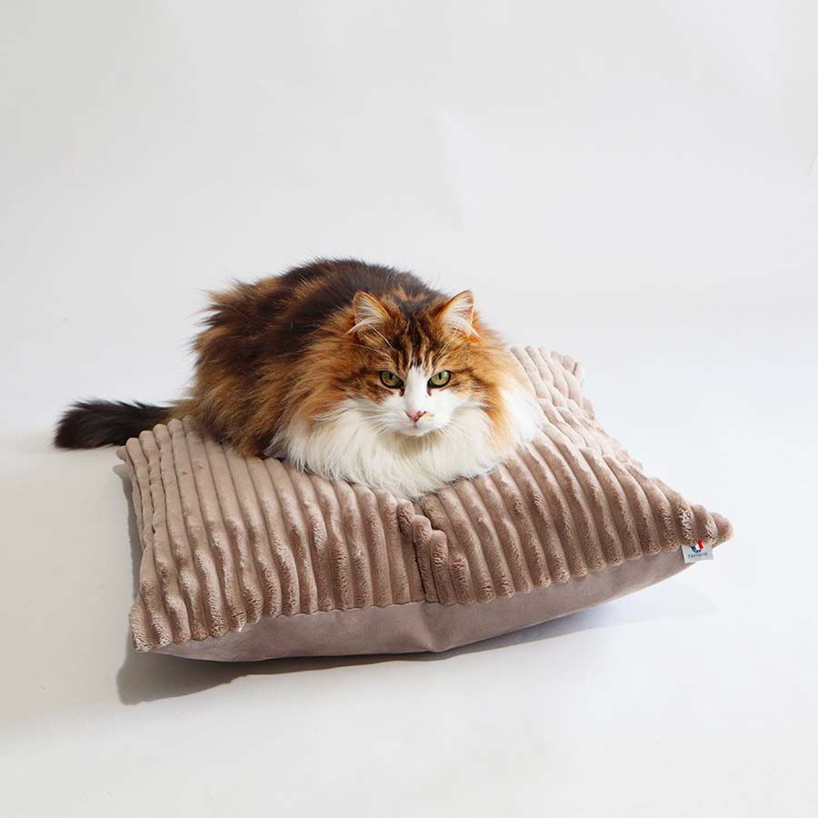HOUSSES SEULES - Velours Taupe ou Ecru- Modèles Berlingot Coussin Cube