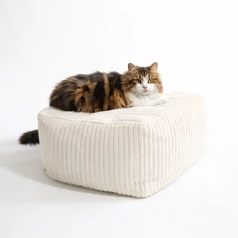 Coussinnerie Design Chat - Velours Taupe ou Ecru - Modèles Berlingot Coussin Cube