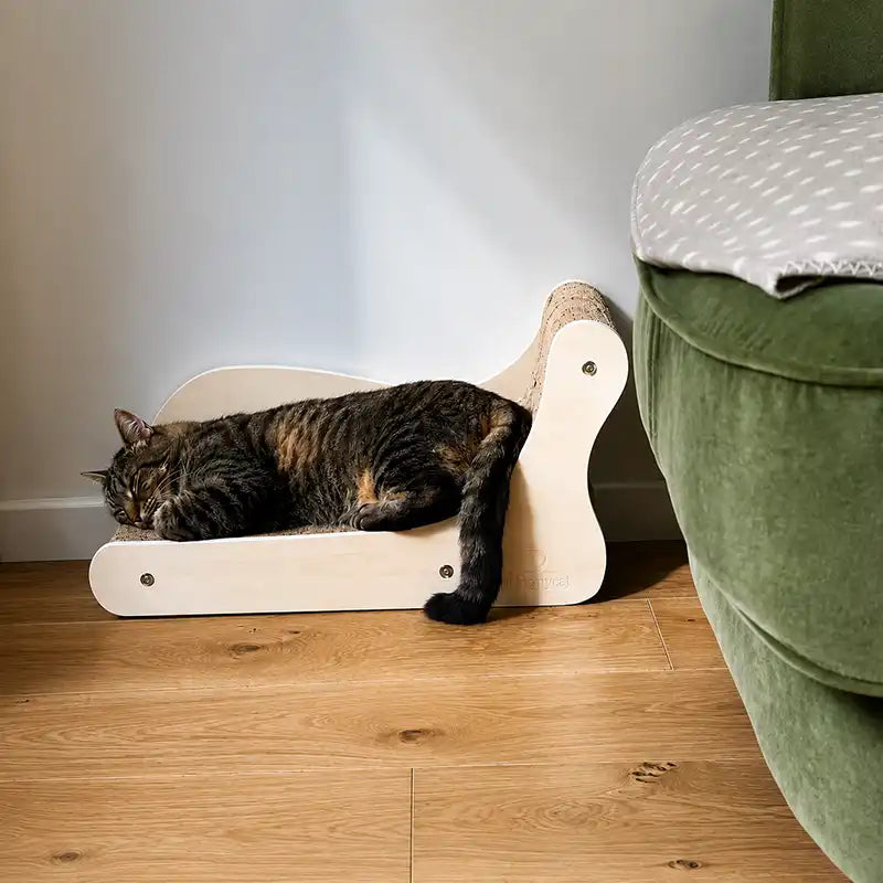 Canapé griffoir Grand Divan pour chat