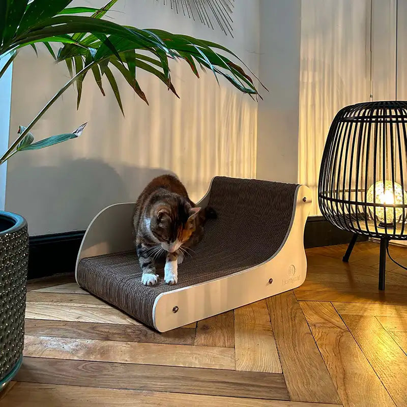 Canapé griffoir Grand Divan pour chat