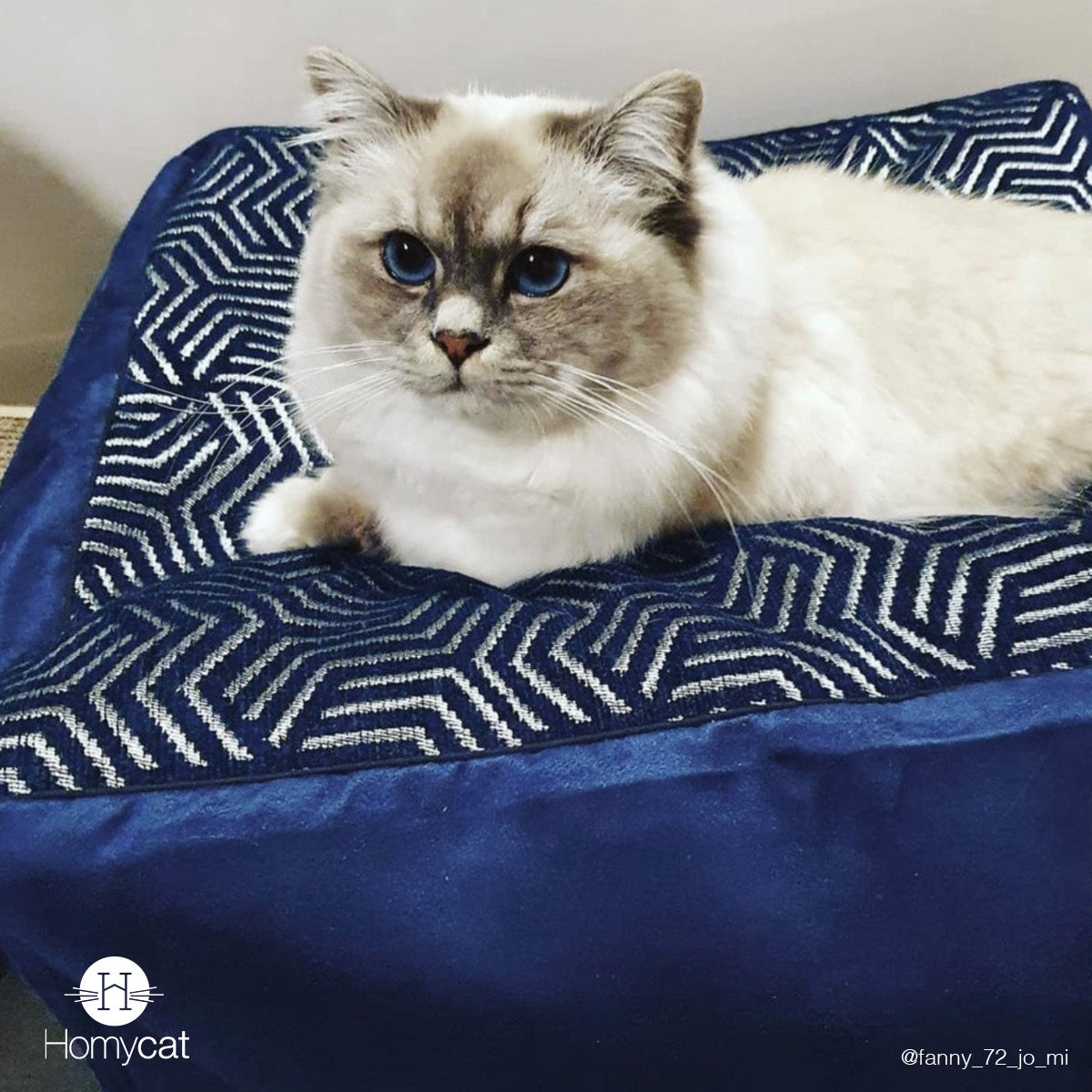 Cube Géométrique Chic Bleu Marine - Couchage pouf chat design