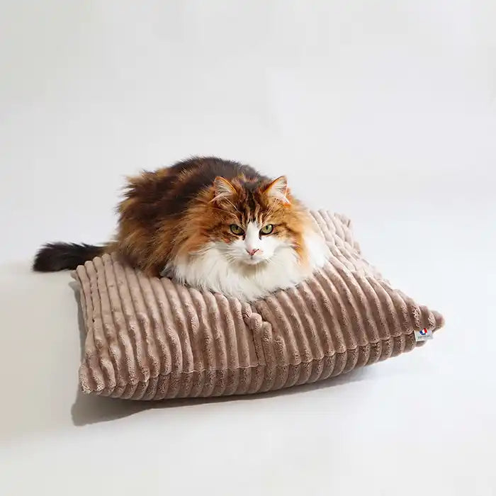 Coussin-XL-dodo-pour chat-velours-cotele-taupe-france-homycat-design