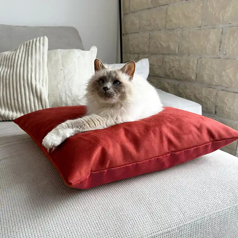 Coussins XL - Couchage chat stylé - Terracotta Feuillage Orange