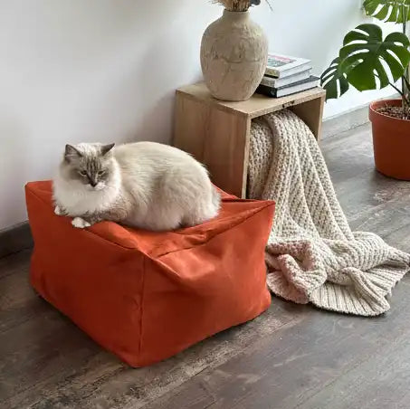 Cubes S et XL - Couchage chat déco - Terracotta Feuillage Orange
