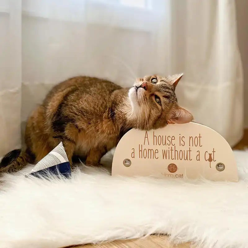 Griffoir "A house is not a home without a cat"