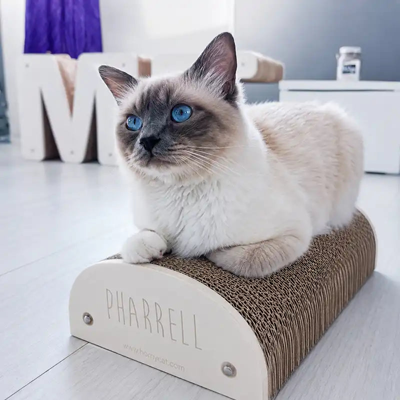 griffoir en carton et bois gravé personnalisable pour chat made in france