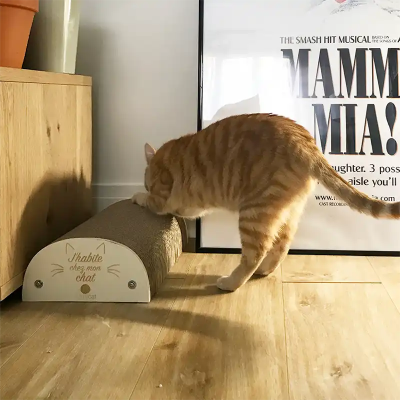 Griffoir "J'habite chez mon chat"