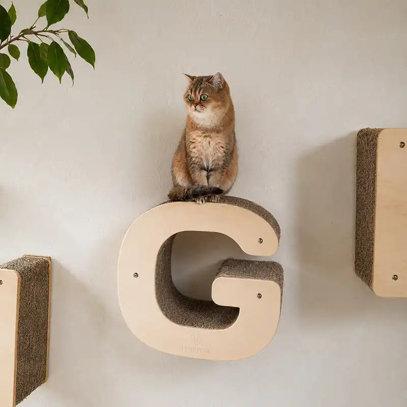 Lettre griffoir mural pour chat au choix (A à Z)
