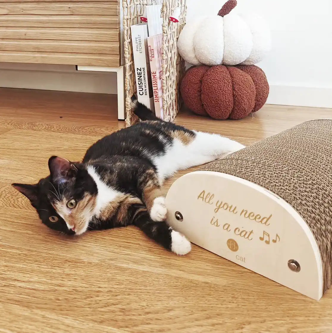 Griffoir chat "All you need is a cat"