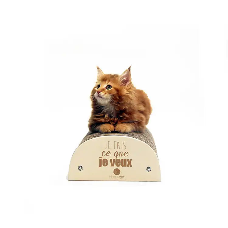 Griffoir humoristique - au choix