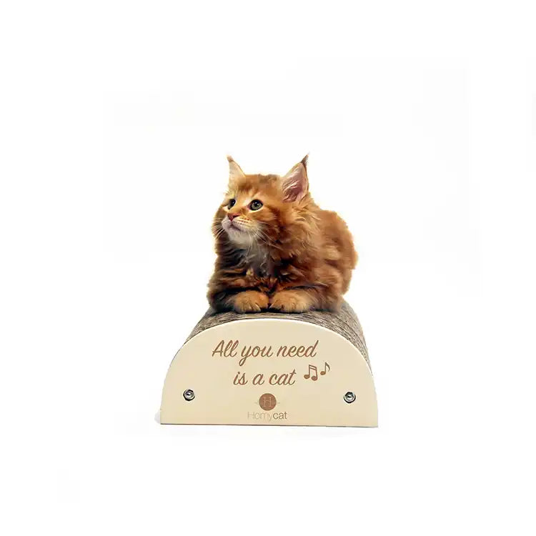 Griffoir chat "All you need is a cat"
