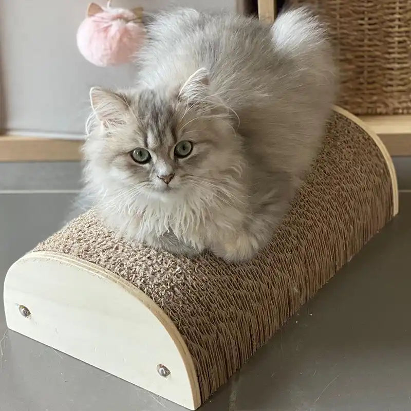 Griffoir demi-rond Homycat