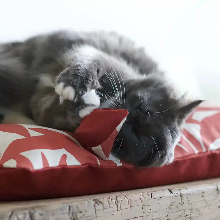 Mini-berlingot - Jouet pour chat - catnip