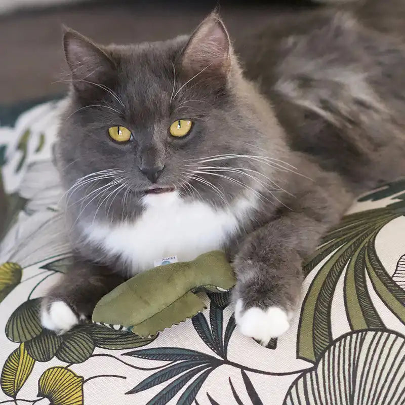 Poisson - Jouet pour chat - catnip