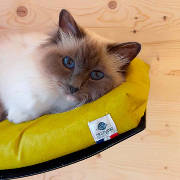 Lit mural design jaune pour chat : une touche solaire dans votre décoration