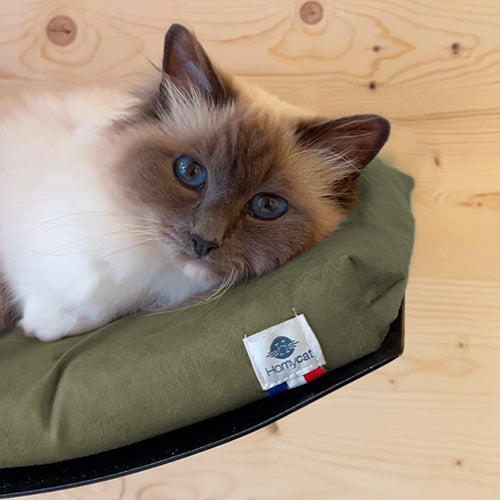 Lit hamac mural design pour chats - matelas vert kaki