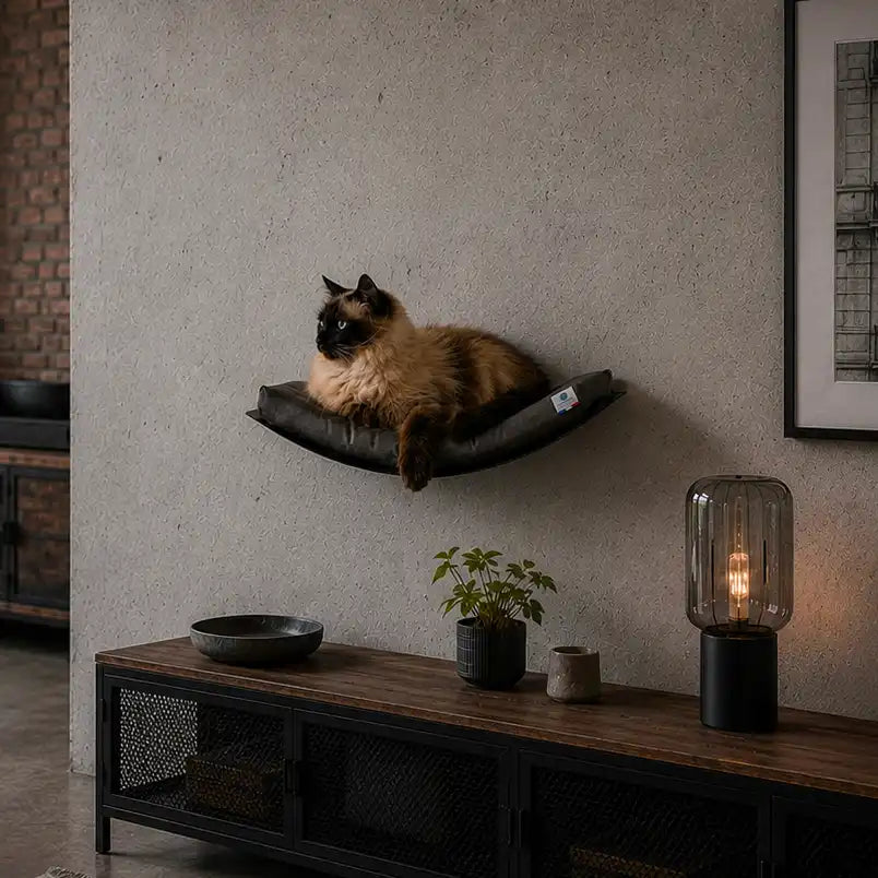 Chat installé sur un lit mural gris acier Homycat dans un salon style loft industriel contemporain
