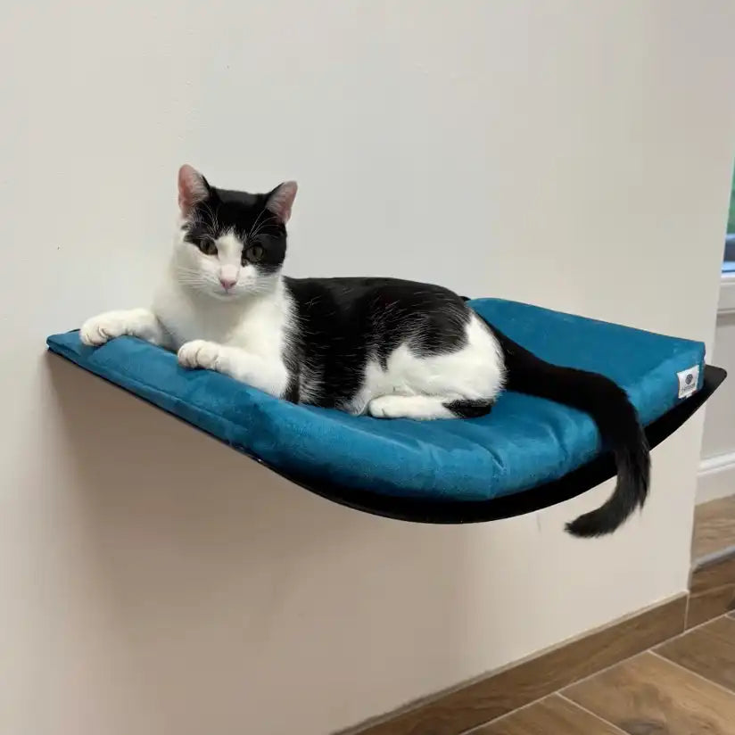 Lit mural design pour chat avec coussin bleu canard – Homycat