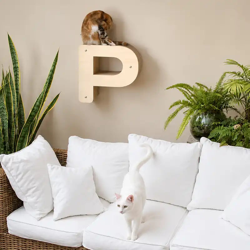 Lettre griffoir mural pour chat au choix (A à Z)