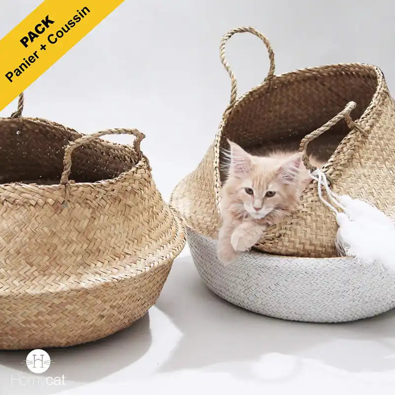chat-mainecoon-dans-panier-cabane-niche-chat-blanc-pompons-deco-design-salon-homycat-grand-jonc