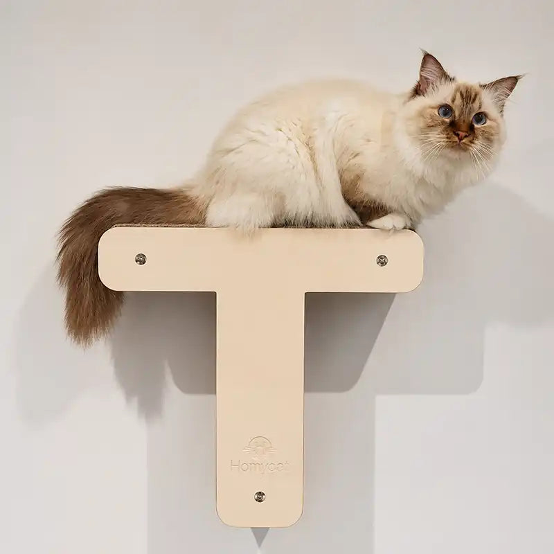 Lettre griffoir mural pour chat au choix (A à Z)