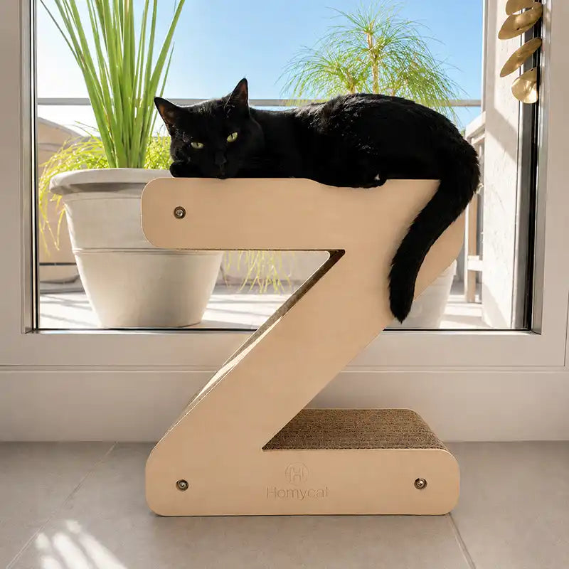 chaton-lettre-z-deco-salle-a-manger-carton-griffoir-plante-homycat