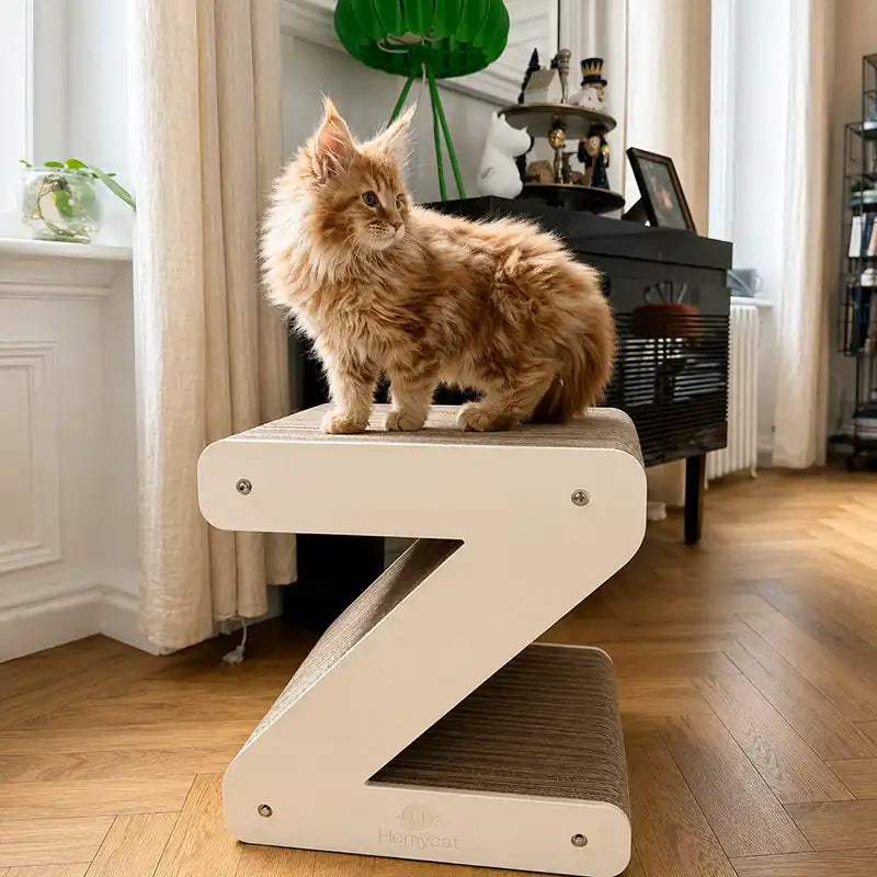 Griffoir Lettre Z XL