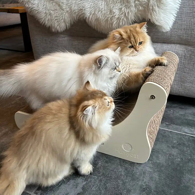 Canapé griffoir Grand Divan pour chat
