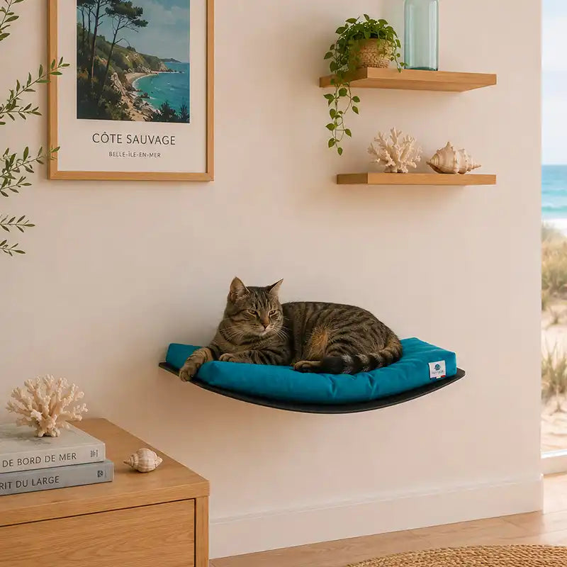 Lit mural bleu canard pour chat Homycat dans une décoration bord de mer.