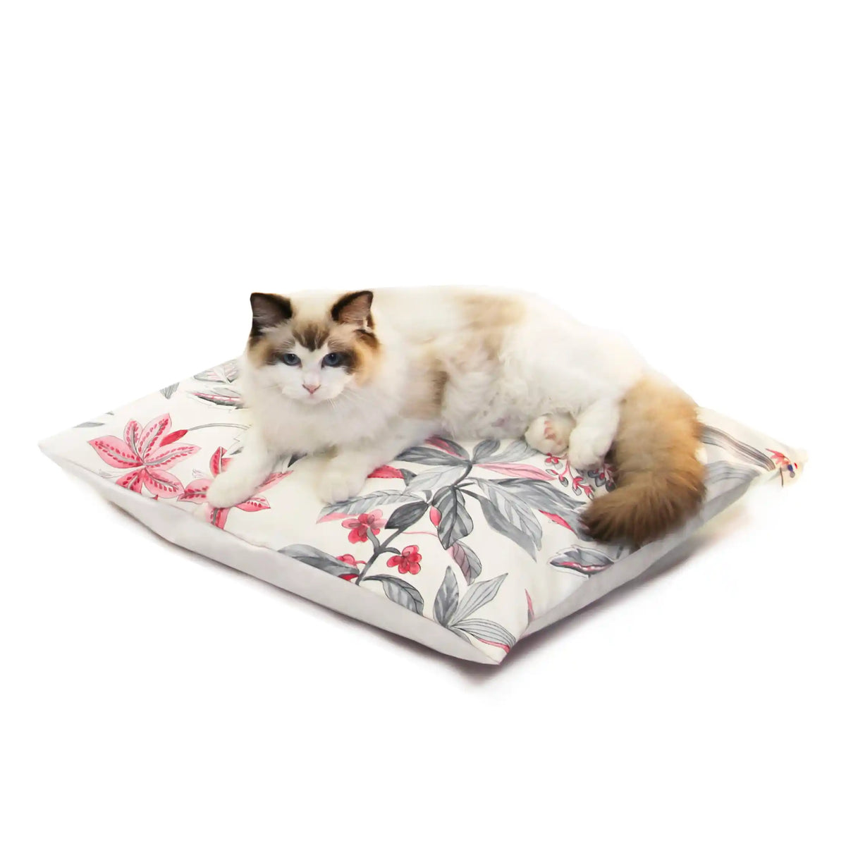 Coussins Design Chat - Ecru Fleuri Rose