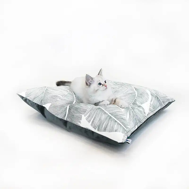 Couchages Chats Design - Coussins XL - Couleur au choix