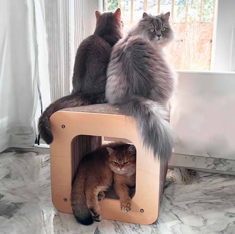 Griffoir Design Cube XL