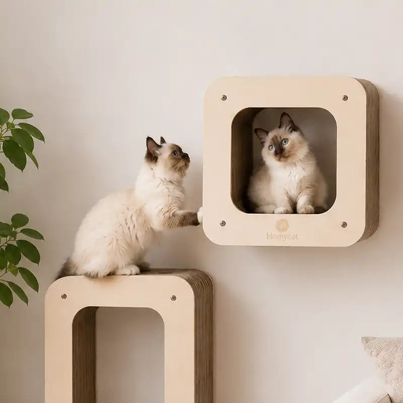 Griffoir Cube