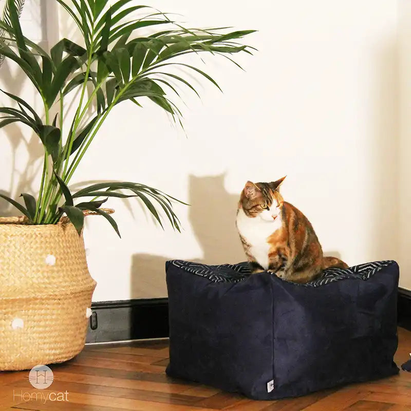 Cube Géométrique Chic Bleu Marine - Couchage pouf chat design
