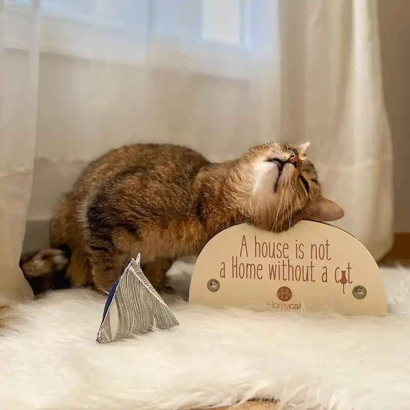 Griffoir "A house is not a home without a cat"