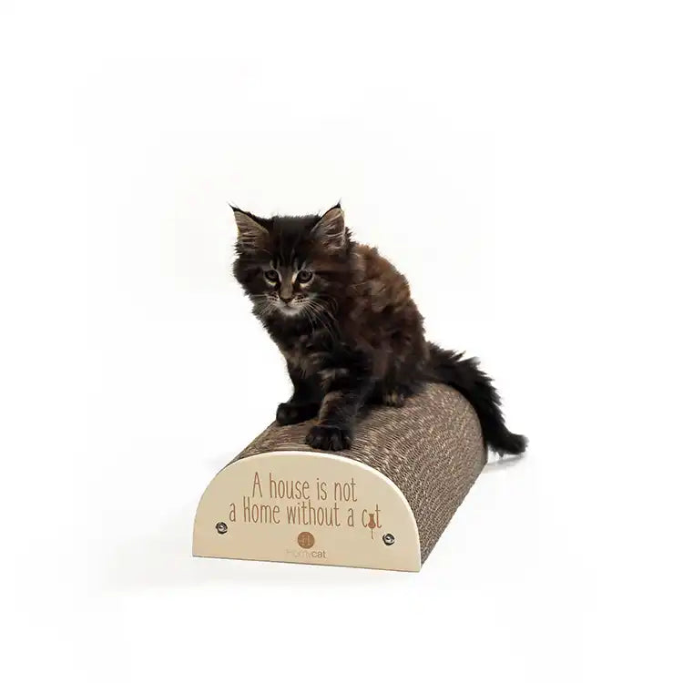 Griffoir "A house is not a home without a cat"
