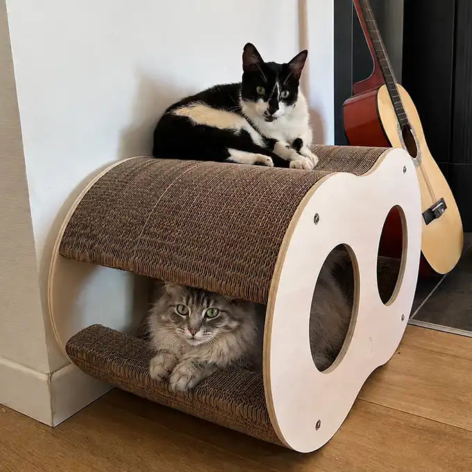 Griffoir Infini Homycat – 8 - Double vague - NOUVEAU