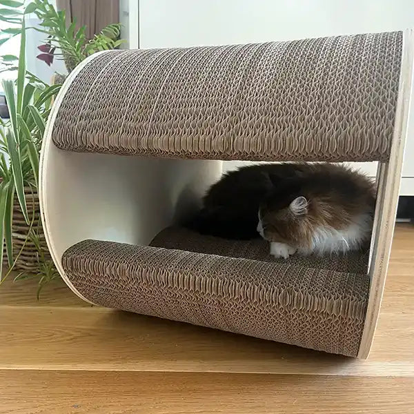 Griffoir Infini Homycat – 8 - Double vague - NOUVEAU