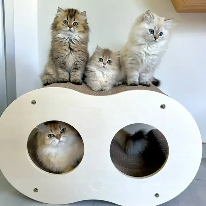 Griffoir Infini Homycat – 8 - Double vague - NOUVEAU