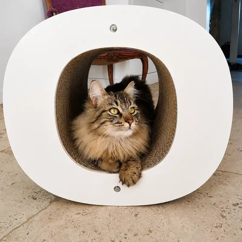 chat-poil-long-lettre-o-homycat-griffoir-xxl-grand-qualité-homycat
