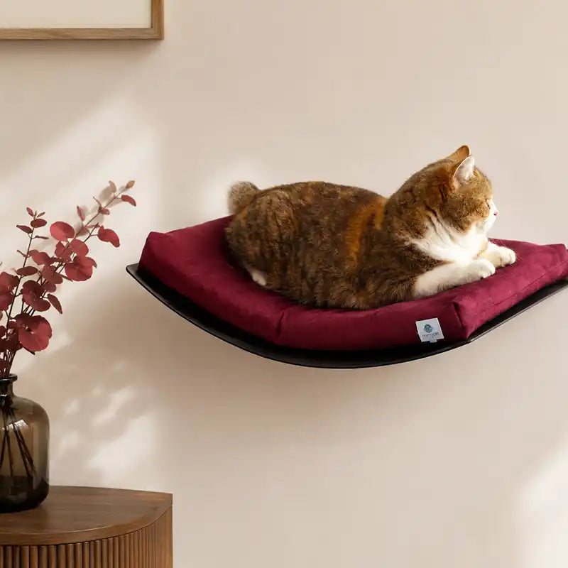 Lit mural avec coussin - Rouge Bordeaux