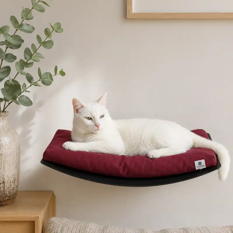 hamac-mural-pour-chat-rouge-bordeaux