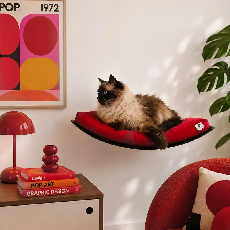 Lit mural avec coussin - Rouge Griotte