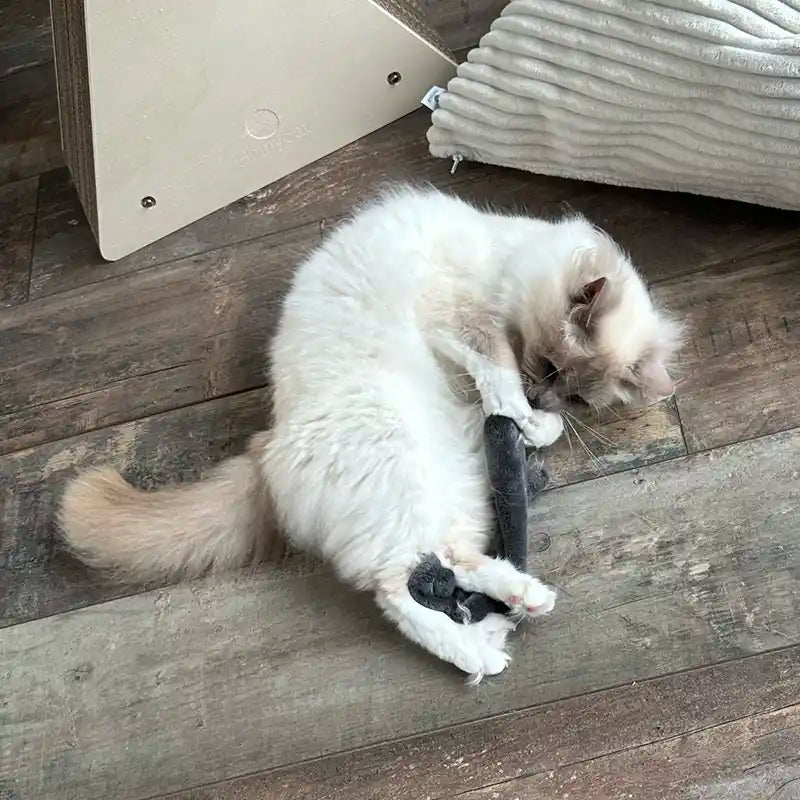 jouet pour chat forme serpent long cataire france doudou velours gris chat joue